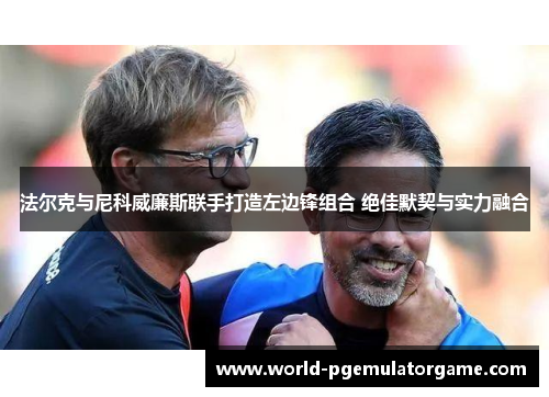 法尔克与尼科威廉斯联手打造左边锋组合 绝佳默契与实力融合