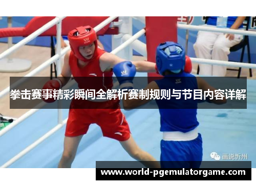 拳击赛事精彩瞬间全解析赛制规则与节目内容详解