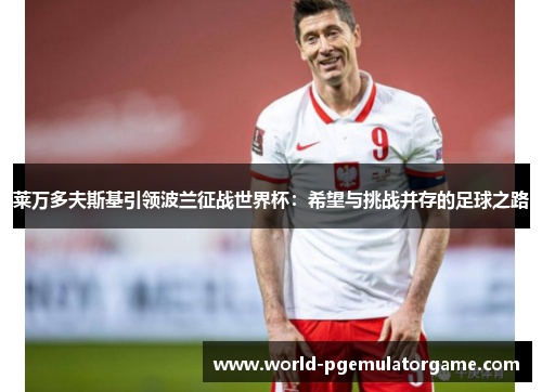 莱万多夫斯基引领波兰征战世界杯：希望与挑战并存的足球之路
