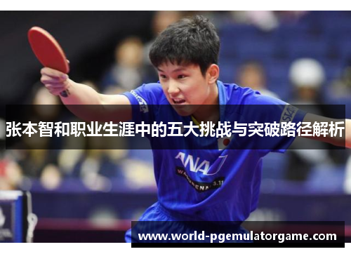 张本智和职业生涯中的五大挑战与突破路径解析