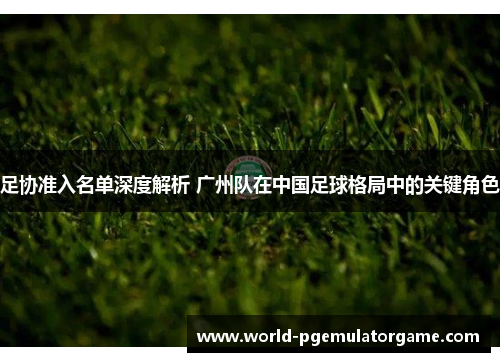 足协准入名单深度解析 广州队在中国足球格局中的关键角色