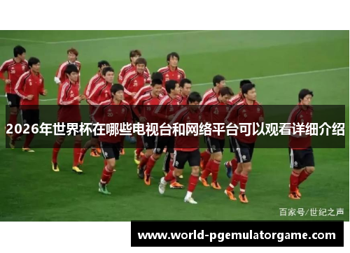 2026年世界杯在哪些电视台和网络平台可以观看详细介绍