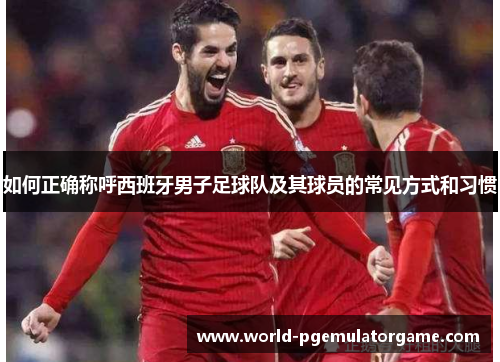 如何正确称呼西班牙男子足球队及其球员的常见方式和习惯
