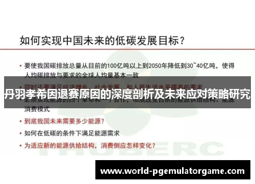丹羽孝希因退赛原因的深度剖析及未来应对策略研究