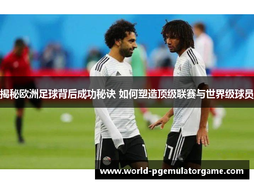 揭秘欧洲足球背后成功秘诀 如何塑造顶级联赛与世界级球员