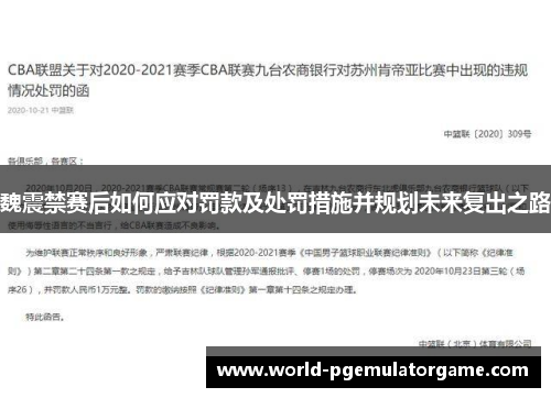 魏震禁赛后如何应对罚款及处罚措施并规划未来复出之路