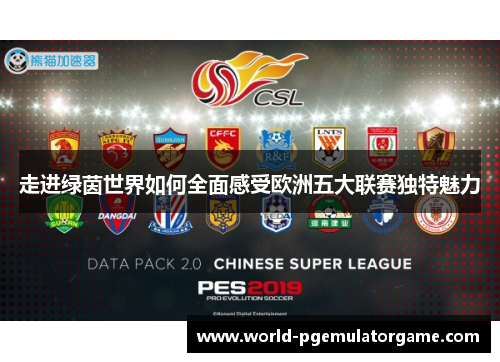 走进绿茵世界如何全面感受欧洲五大联赛独特魅力 走进绿茵世界如何全面感受欧洲五大联赛独特魅力