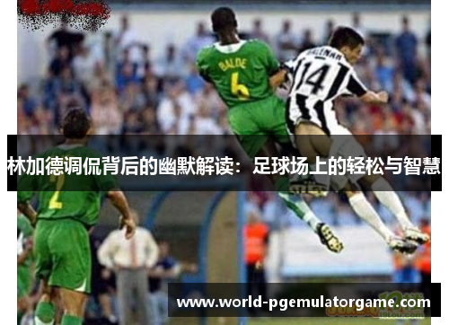 林加德调侃背后的幽默解读：足球场上的轻松与智慧