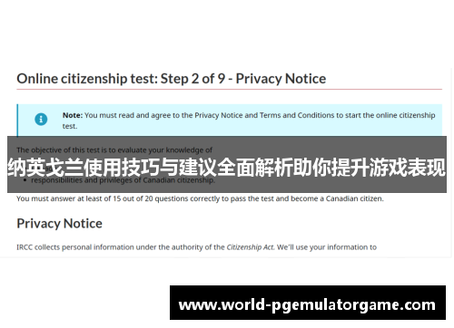 纳英戈兰使用技巧与建议全面解析助你提升游戏表现 纳英戈兰使用技巧与建议全面解析助你提升游戏表现