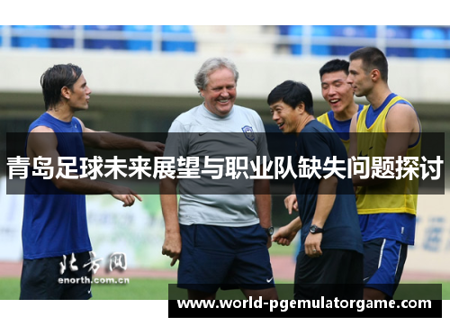 青岛足球未来展望与职业队缺失问题探讨