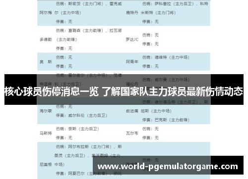 核心球员伤停消息一览 了解国家队主力球员最新伤情动态 核心球员伤停消息一览 了解国家队主力球员最新伤情动态
