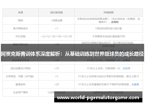 阿贾克斯青训体系深度解析：从基础训练到世界级球员的成长路径
